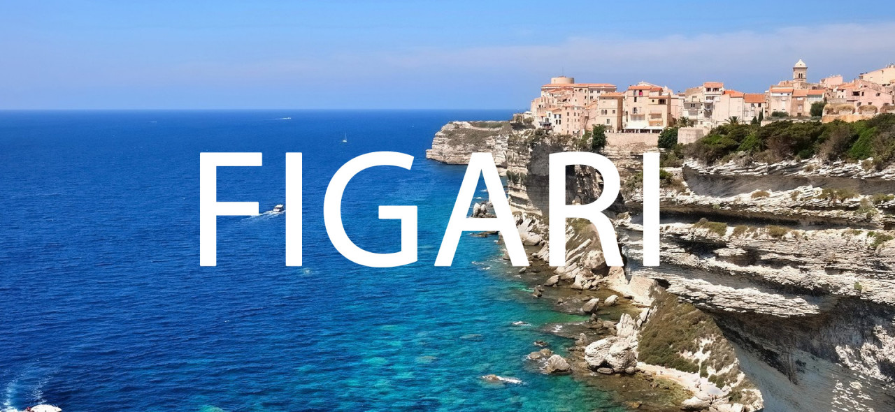 Figari verslo lėktuvų chartija Korsikoje